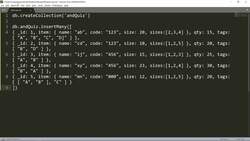MongoDB Mastering MongoDB for Beginners (Theory and Projects) - Quiz ($and) Instructional Video