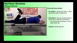 TherEx | Hip Flexor Stretches [Rectus Femoris & Iliopsoas] Instructional Video