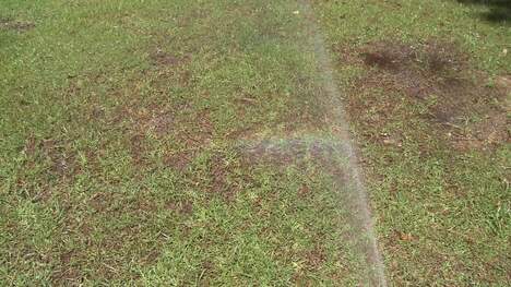 Weather Things: Rainbows