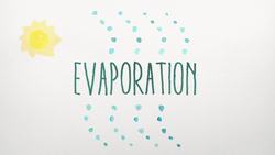 Water Cycle Animation Instructional Video