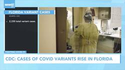 CDC: Cases Of COVID Variants Rise In Florida News Clip
