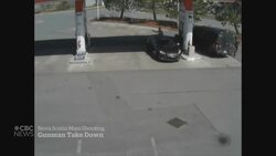 N.S. mass shooting inquiry hears how police ended rampage News Clip