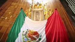 Basilica of Our Lady of Guadalupe Stock Footage