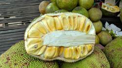 Jackfruit: A Sweet and Spiky Delight Instructional Video