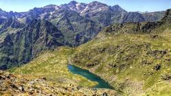 What is a Paladin? Instructional Video