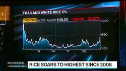 Why Rice Prices Are Soaring in Asia News Clip