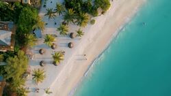 Soar Above Zanzibar: Captivating Drone Views Stock Footage