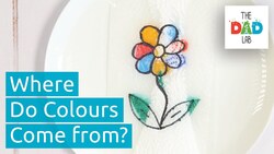 Colourful Magic Trick with Paper Towels Instructional Video