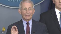 White House projects 100,000-240,000 US deaths from coronavirus News Clip