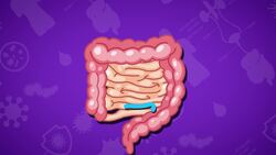 I WONDER - What Do The Large Intestines Do? Instructional Video