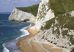 What shapes the coast? Instructional Video