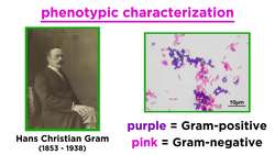 Taxonomy of Bacteria Identification and Classification Instructional Video