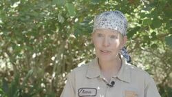 Curious Coatis Check Out Their New Digs Instructional Video