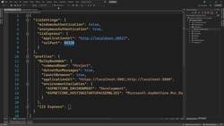 The Complete Guide to ASP.NET Core MVC (.NET 6) - Launchsettings, wwwroot, and appsettings Instructional Video