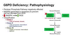 Glucose-6-Phosphate Dehydrogenase Deficiency | Symptoms, Pathophysiology, Diagnosis and Treatment Instructional Video