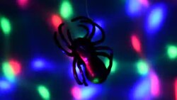 Atmosphere of Halloween Stock Footage