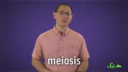 The Male Biological Clock Instructional Video