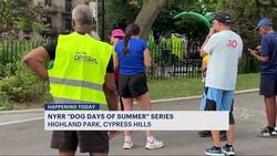 Dog Days of Summer: New York Road Runners hosts open runs for pets and pet owners Instructional Video