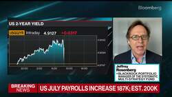 Jobs Data Signal Rate Hikes Over: BlackRock's Rosenberg News Clip