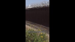 How will the US immigration system change? News Clip