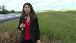 Former Humboldt Broncos player and family killed in car accident News Clip