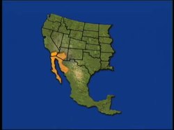 Deserts and the Tundra Review Instructional Video