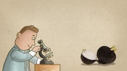 Rábano vence al colesterol Instructional Video