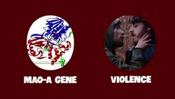 Is the Serial Killer Gene Real? Instructional Video