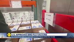 US stockpiles bird flu vaccines as egg prices are expected to rise News Clip