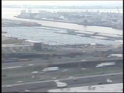 The Cell: Endoplasmic Reticulum and Ribosomes Instructional Video