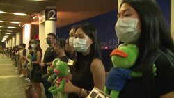 VOICED : Pepe la rana nueva mascota del movimiento prodemocracia en Hong Kong News Clip