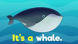 Under the Sea Part 1 Instructional Video