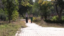 CLEAN : Pakistan zoo set for mammoth makeover after lonely elephant's departure News Clip