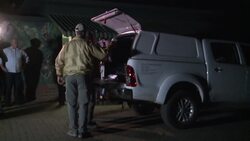 Saving the tiniest of frogs in the tiniest of homes News Clip