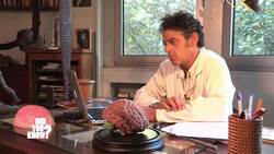 Elite Training: Inside the Paris BRI's High-Stakes Operations Instructional Video