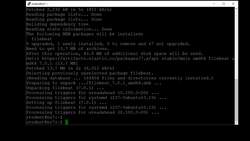 Elasticsearch 7 and Elastic Stack - In Depth and Hands On! - Installing Filebeat Instructional Video