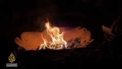 Palestinians in Gaza either die of hunger or risk their lives for a bag of flour News Clip