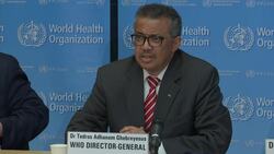 WHO declares virus crisis a pandemic Instructional Video
