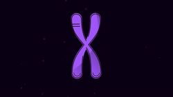 BIOLOGY - Genetics - Common Terms Used in Genetics Instructional Video