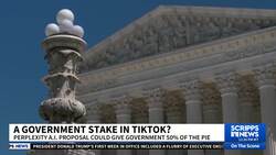 New bid for TikTok from Perplexity AI could give US government 50% stake News Clip