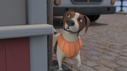 Where's Eddy? Instructional Video