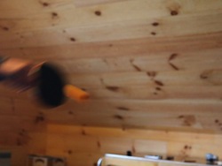 Objectos en movimiento: cambios en movimiento Instructional Video