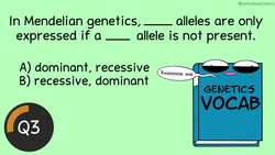 Genetics Vocabulary: Before the Bell Biology Instructional Video