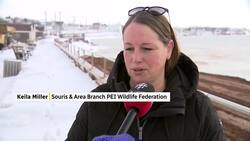 Town of Souris gets some new protection for its popular beach and roadway Instructional Video