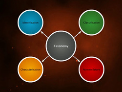 Taxonomy and Nomenclature Instructional Video