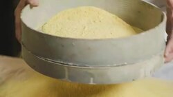 A hand of a farmer takes a handful of yellow flour, to feel the quality and the essence of the raw material. Stock Footage