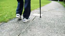 old man walking the park with walking stick Stock Footage