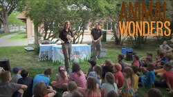 Bringing the Zoo to You! Instructional Video