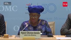 Trump’s Tariff Blitz Wrecks Global Markets: WTO Warns of 1.5% Slump, Exports Crash 12.6% News Clip