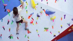 Static vs. Dynamic Movement in Indoor Rock Climbing Instructional Video